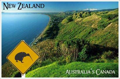 nz1