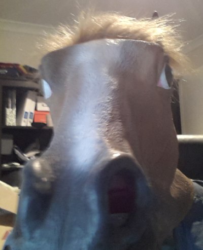 me...in a horse mask :)