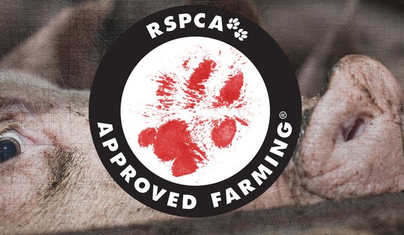 rspca